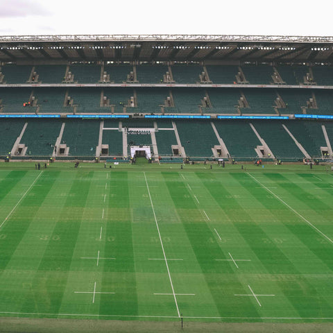 Rose Garden - Autumn Nations Series 2025 - England v Argentina