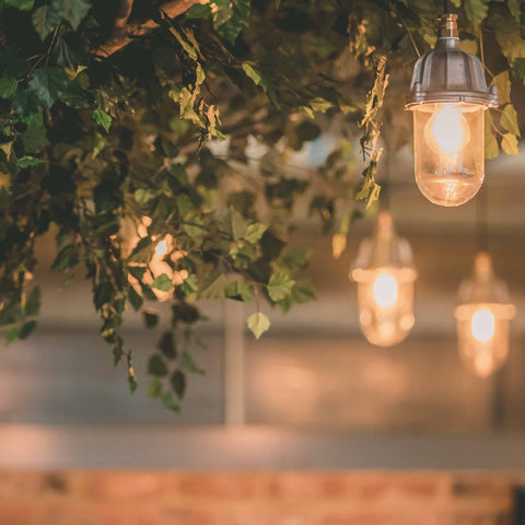 Rose Garden - Nations Championship - England v Japan - Sat 14 Nov 2026