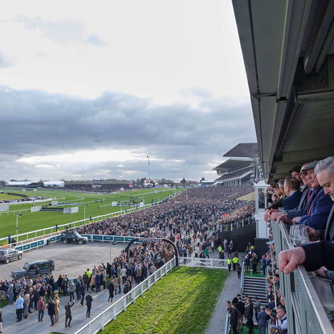 Chez Roux Box - Cheltenham Festival - St Patrick's Thursday - Thurs 12 Mar 2026