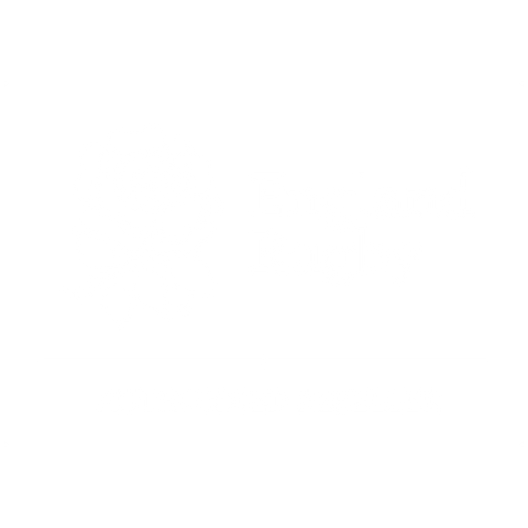 England Rugby authorised reseller logo