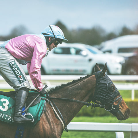 Horse and jockey racing at the Grand National