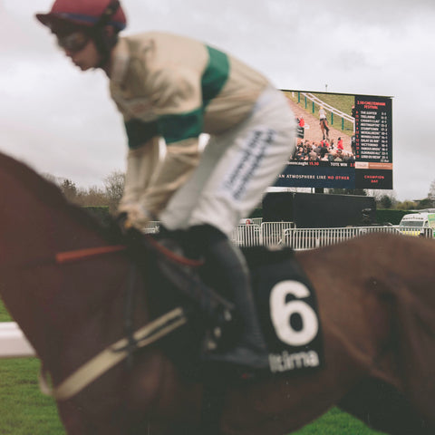 Horses racing at The Cheltenham Festival