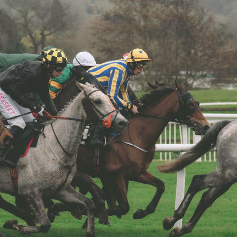 Horses racing at The Cheltenham Festival